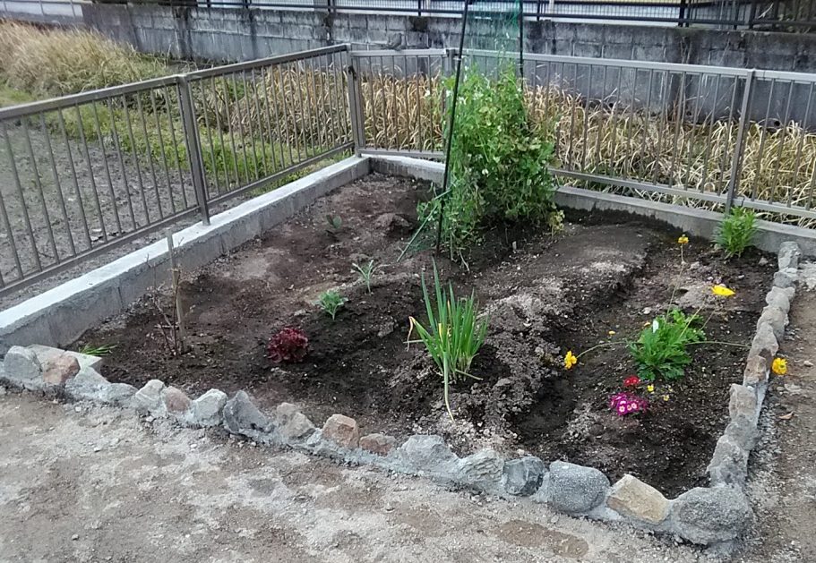 お金をかけずにお庭の花壇をデコレーション！ | あおたろうのお陽さまダイアリー