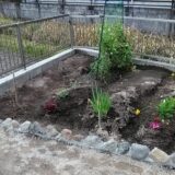 お金をかけずにお庭の花壇をデコレーション！